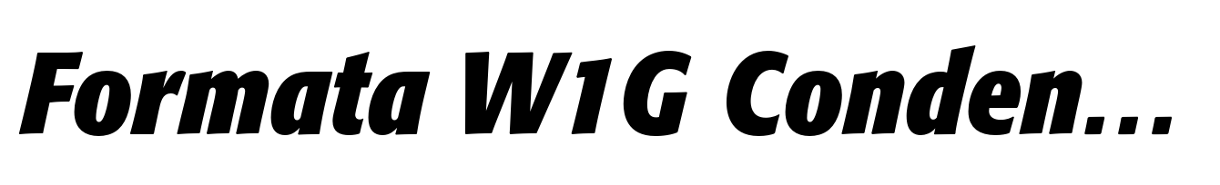 Formata W1G Condensed Bold Italic